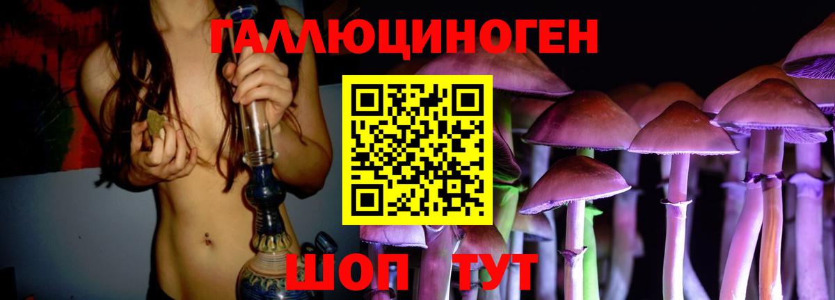 Петрозаводск  Псилоцибиновые грибы Cubensis  Вход с VPN 